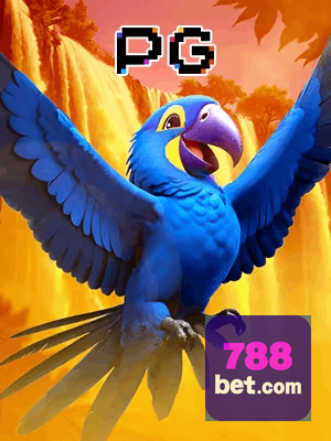 788BET bônus — cashback 15 por cento e níveis VIP